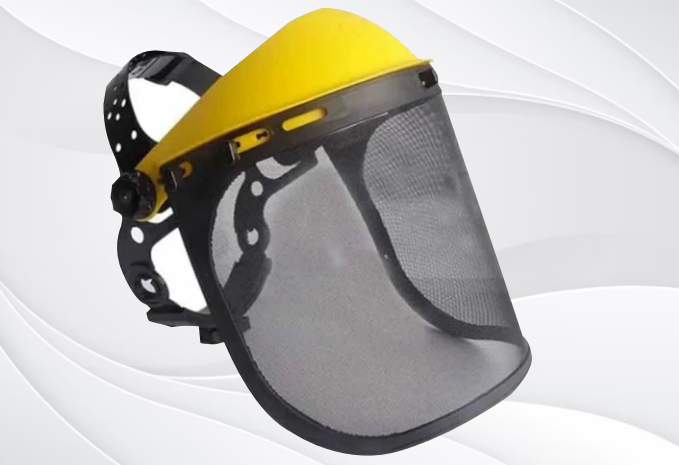 imagen_2024-02-10_151253706